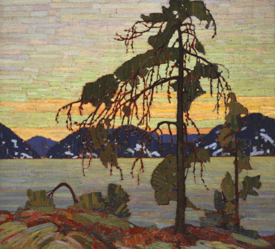 the jack pine.png
